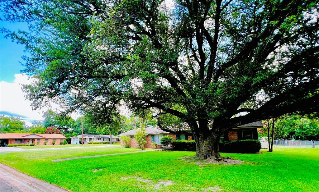 114 Harred Street, Sulphur Springs, TX 75482