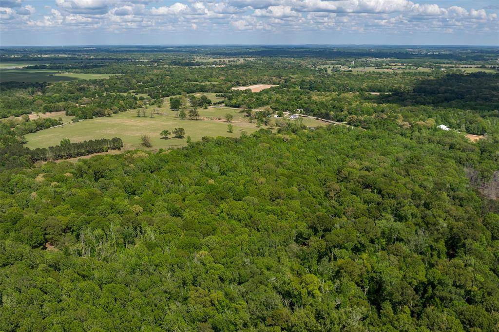 3672 FM 1861, Athens, TX 75752
