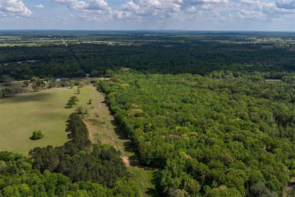 3672 FM 1861, Athens, TX 75752