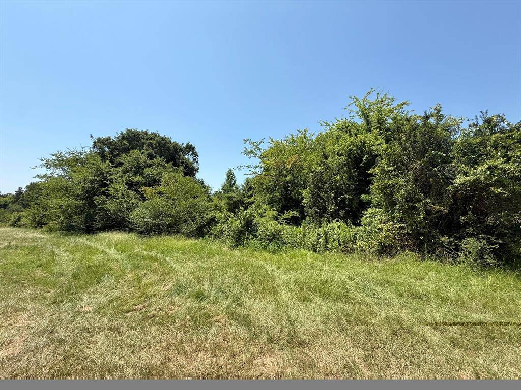 TBD FM 2152, Mount Pleasant, TX 75455