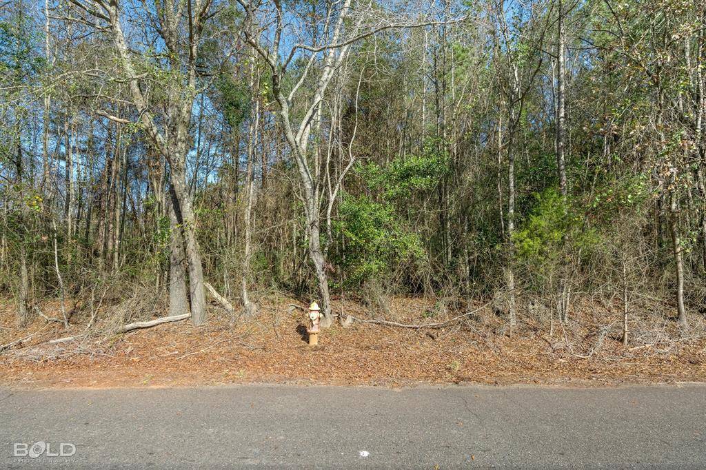Lot 8 Mockingbird Lane, Plain Dealing, LA 71064