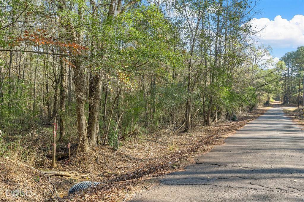 Lot 9 Mockingbird Lane, Plain Dealing, LA 71064
