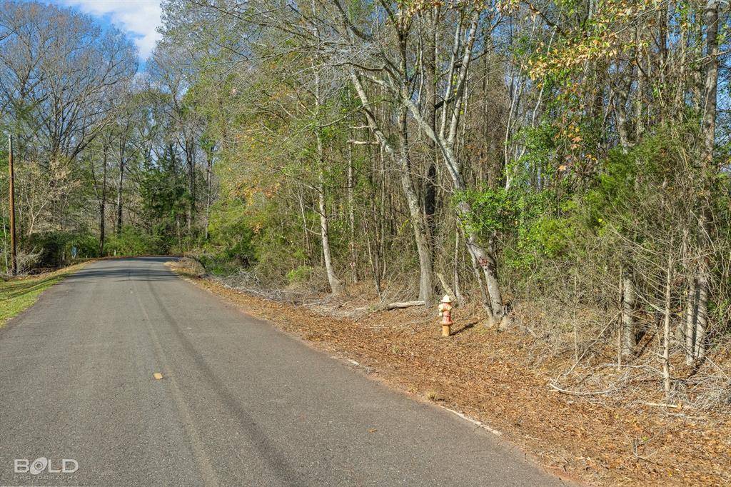 Lot 10 Mockingbird Lane, Plain Dealing, LA 71064