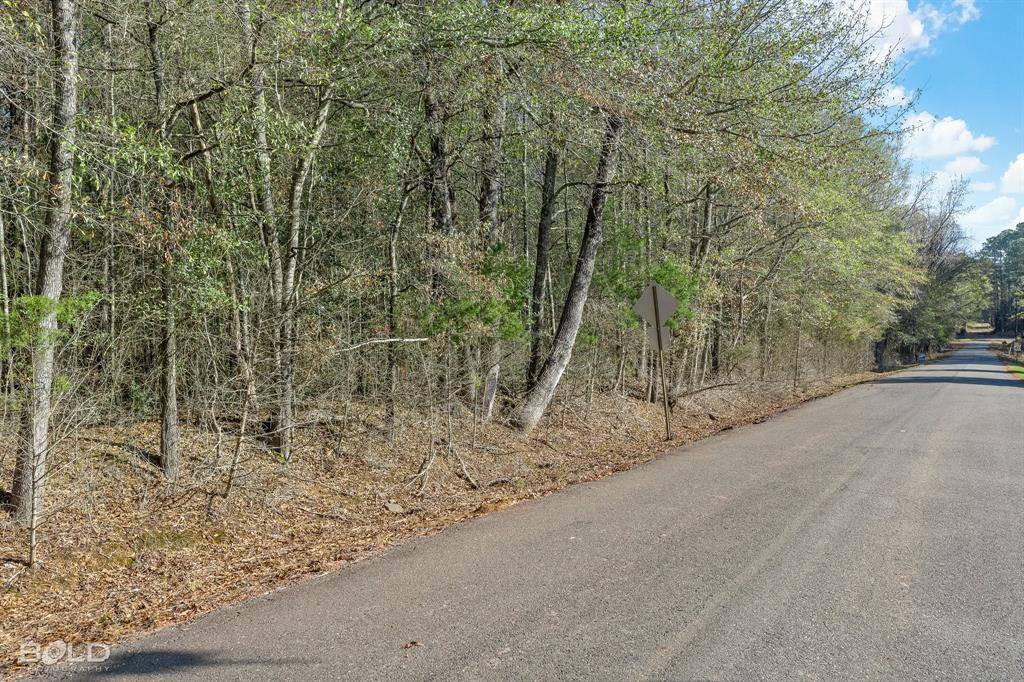 Lot 10 Mockingbird Lane, Plain Dealing, LA 71064