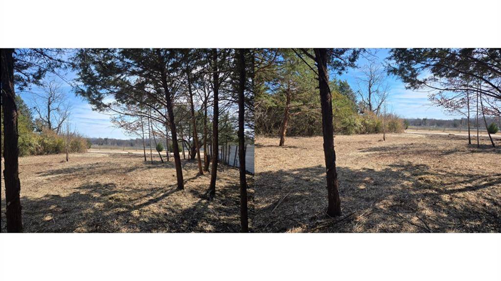 3020 Columbine Avenue, Dallas, TX 75241