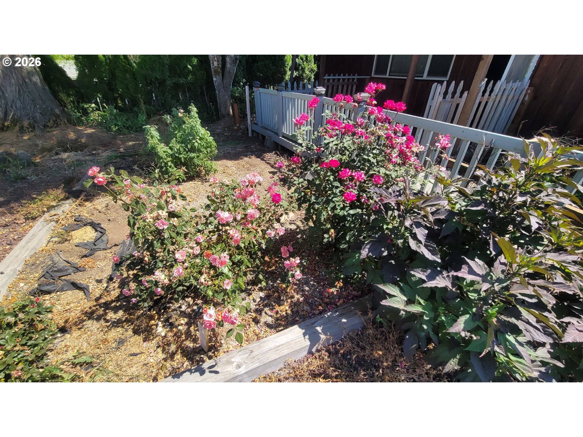 36800 SE PROCTOR RD, Boring, OR 97009
