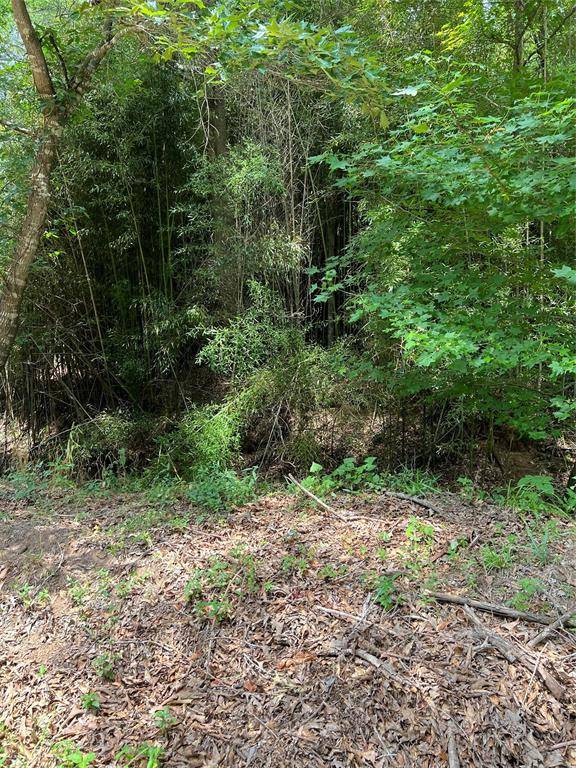 00 CR 4131, Mount Vernon, TX 75457