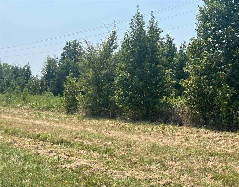 TBD FM 1402, Mount Pleasant, TX 75455
