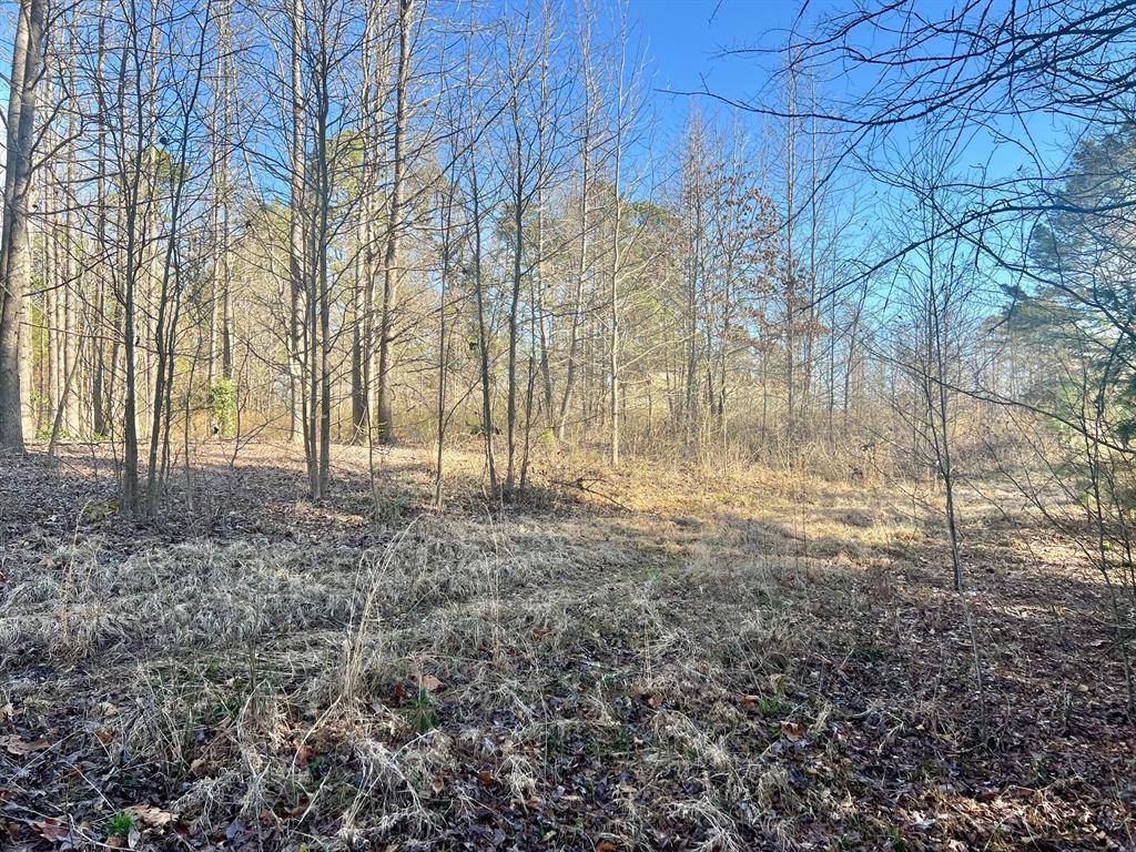 TBD CR 1670, Mount Pleasant, TX 75455