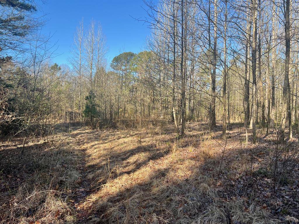 TBD CR 1670, Mount Pleasant, TX 75455