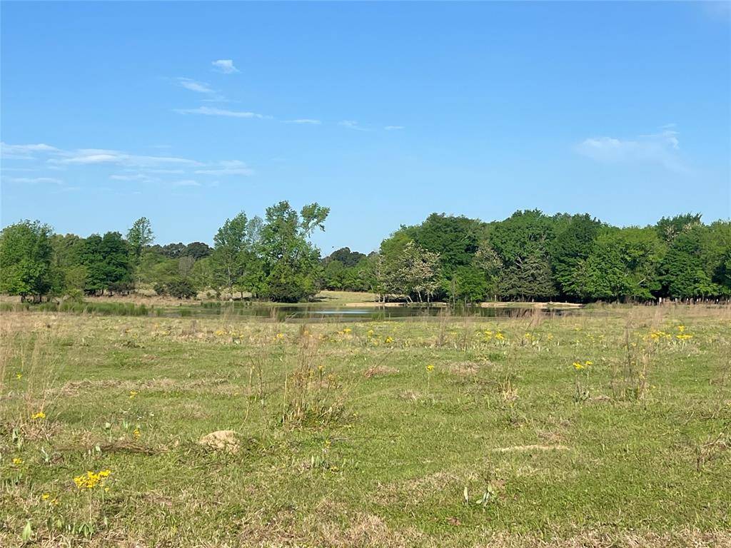 000 FM 1402, Mount Pleasant, TX 75455