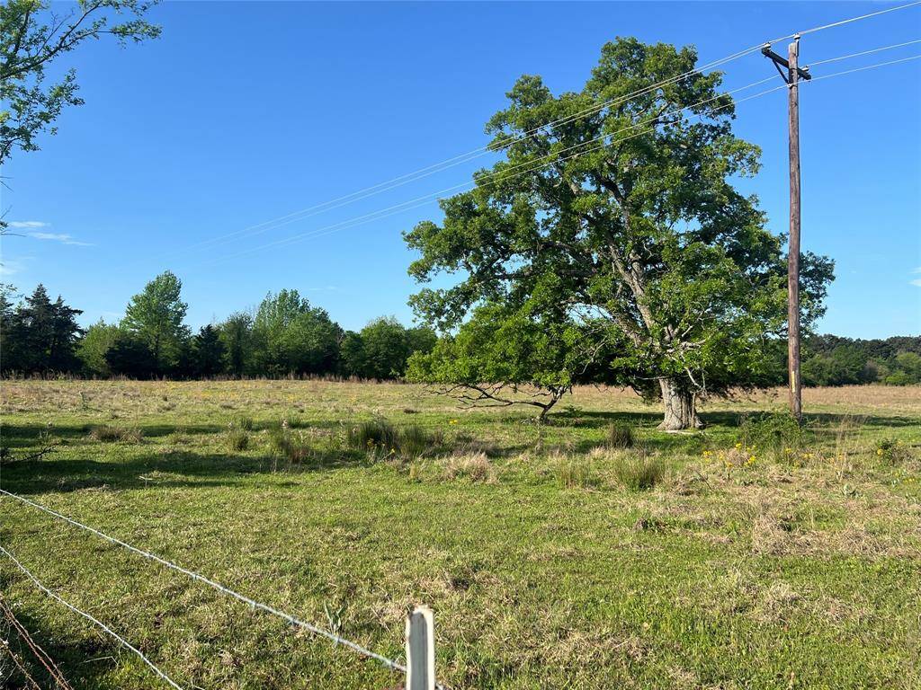 000 FM 1402, Mount Pleasant, TX 75455