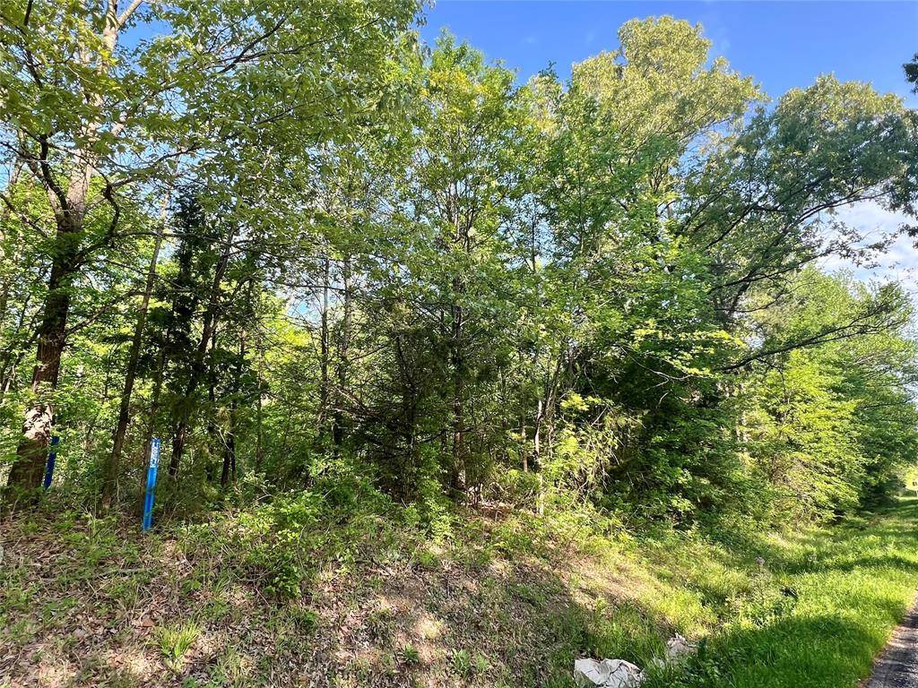 0000 FM 1402, Mount Pleasant, TX 75455