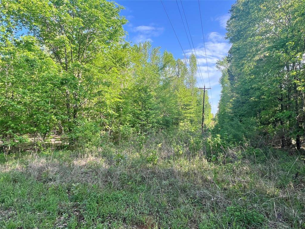 0000 FM 1402, Mount Pleasant, TX 75455