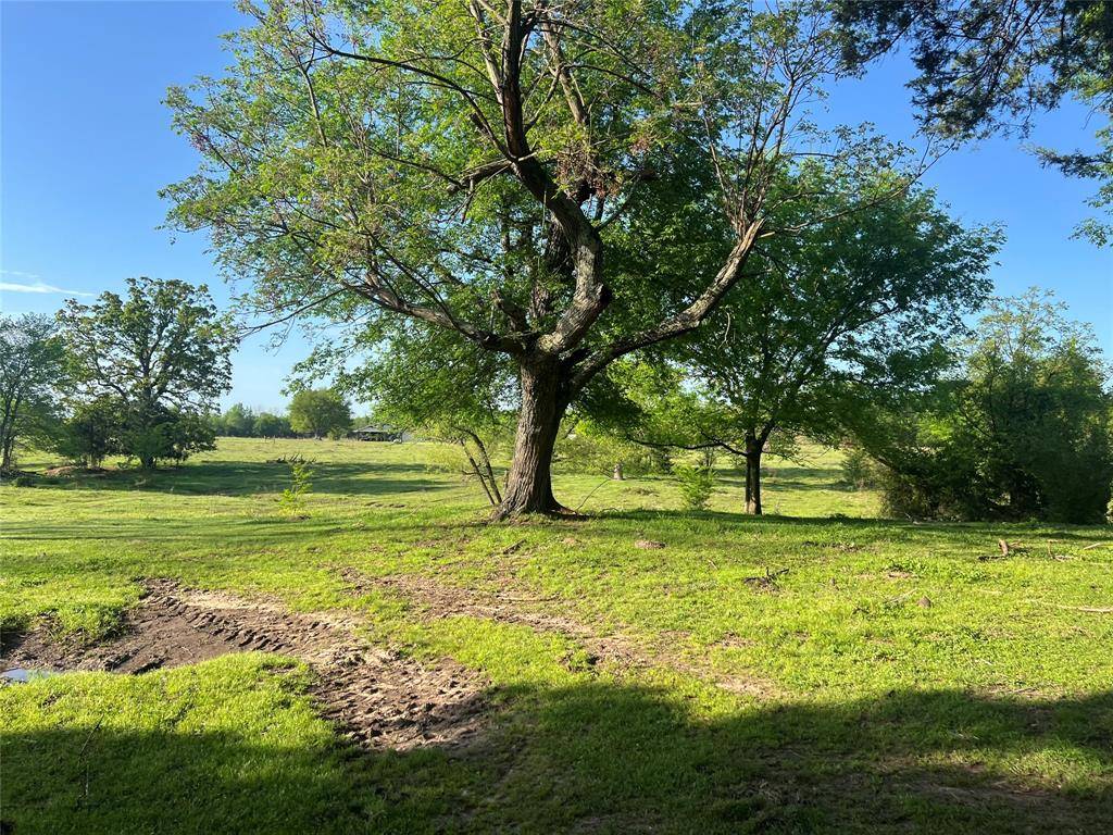 00000 FM 1402, Mount Pleasant, TX 75455