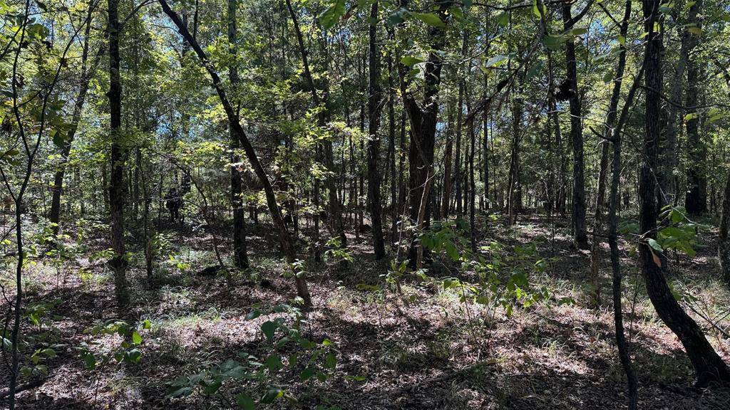 75 County Road 2115, Bagwell, TX 75412