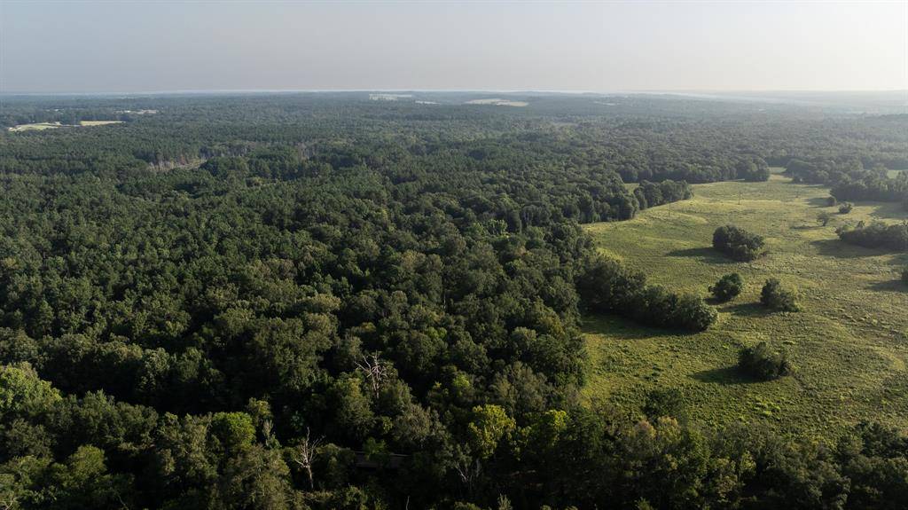 TBD Cr 461, Laneville, TX 75667