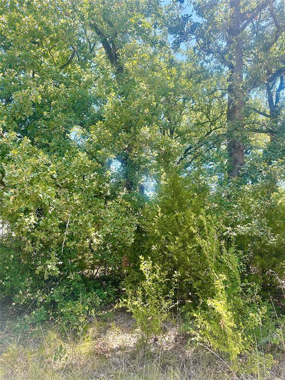 0 Longhorn Road, Mabank, TX 75156