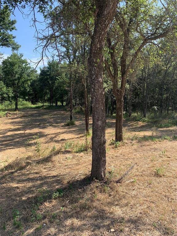 Lot 3 Cimmarron Trail, Runaway Bay, TX 76426