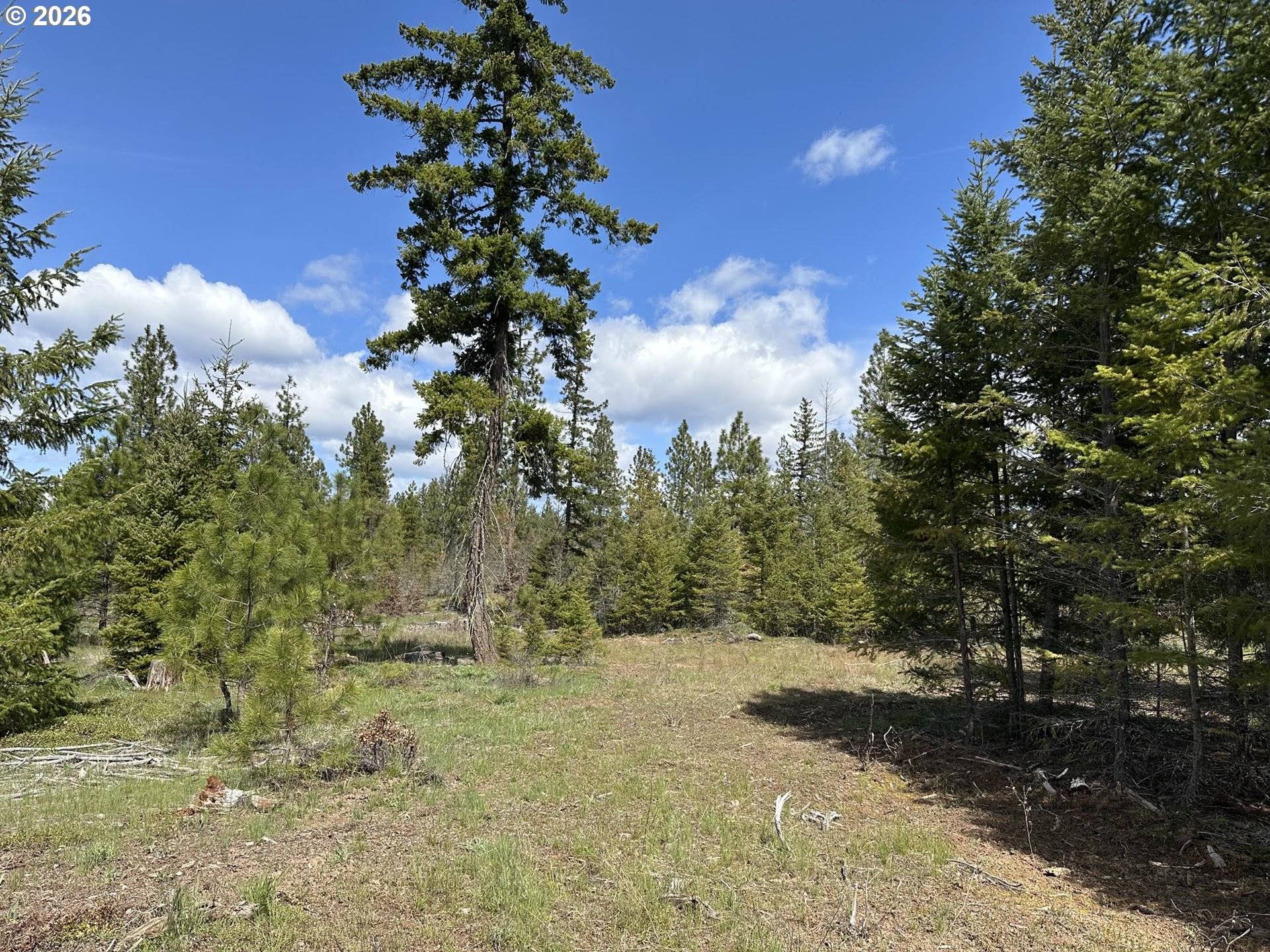 Ranger RD #1, Goldendale, WA 98620