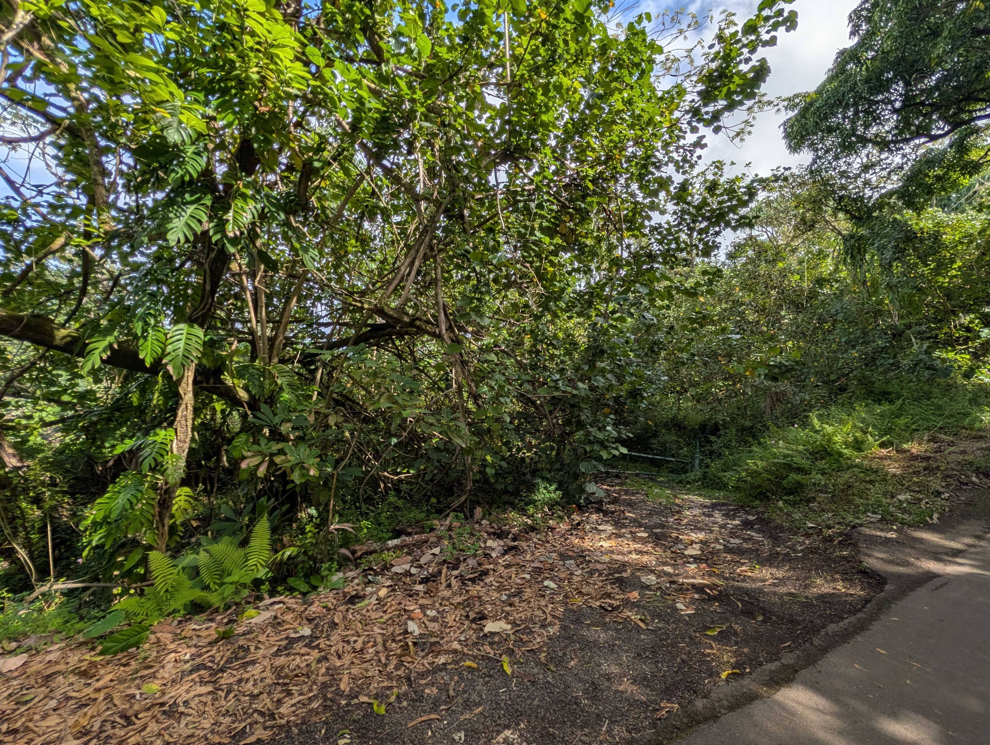 14-3963 GOVERNMENT BEACH RD, Pahoa, HI 96778
