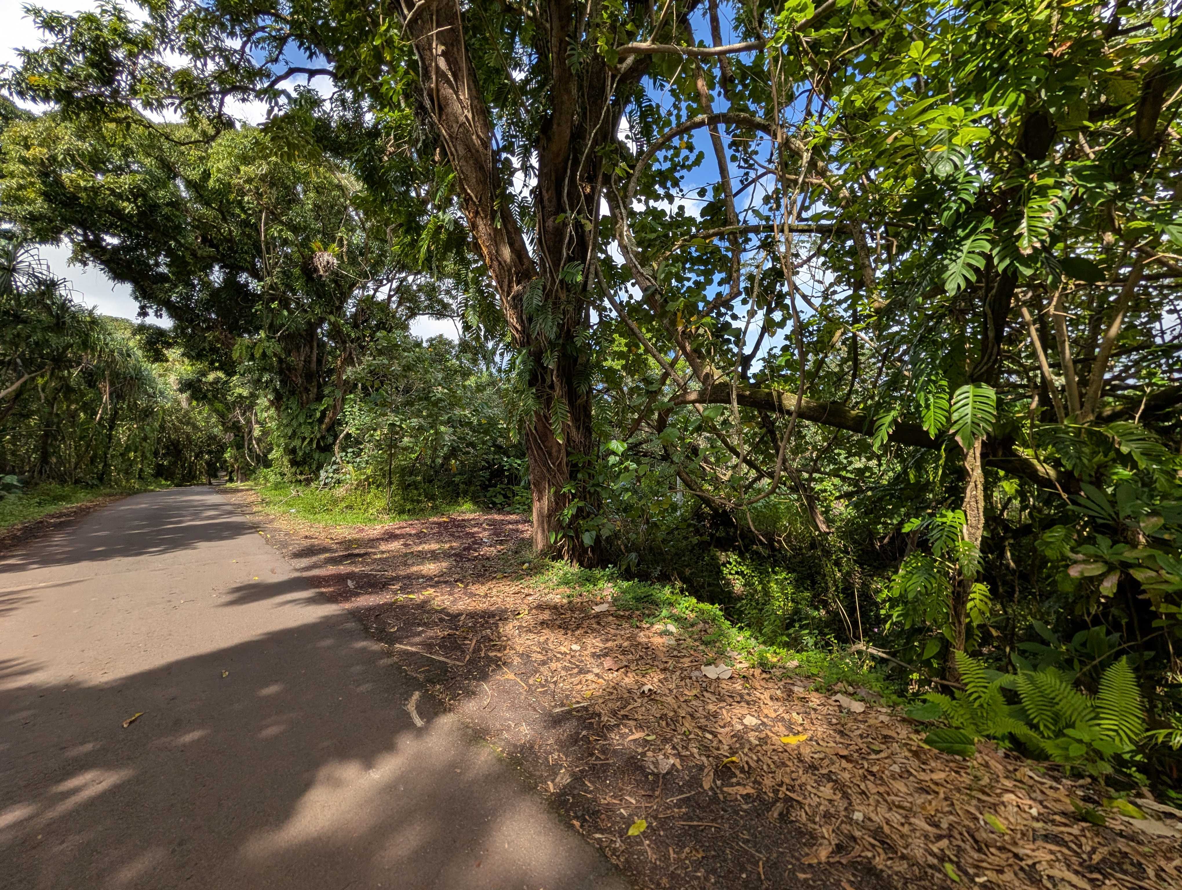 14-3963 GOVERNMENT BEACH RD, Pahoa, HI 96778