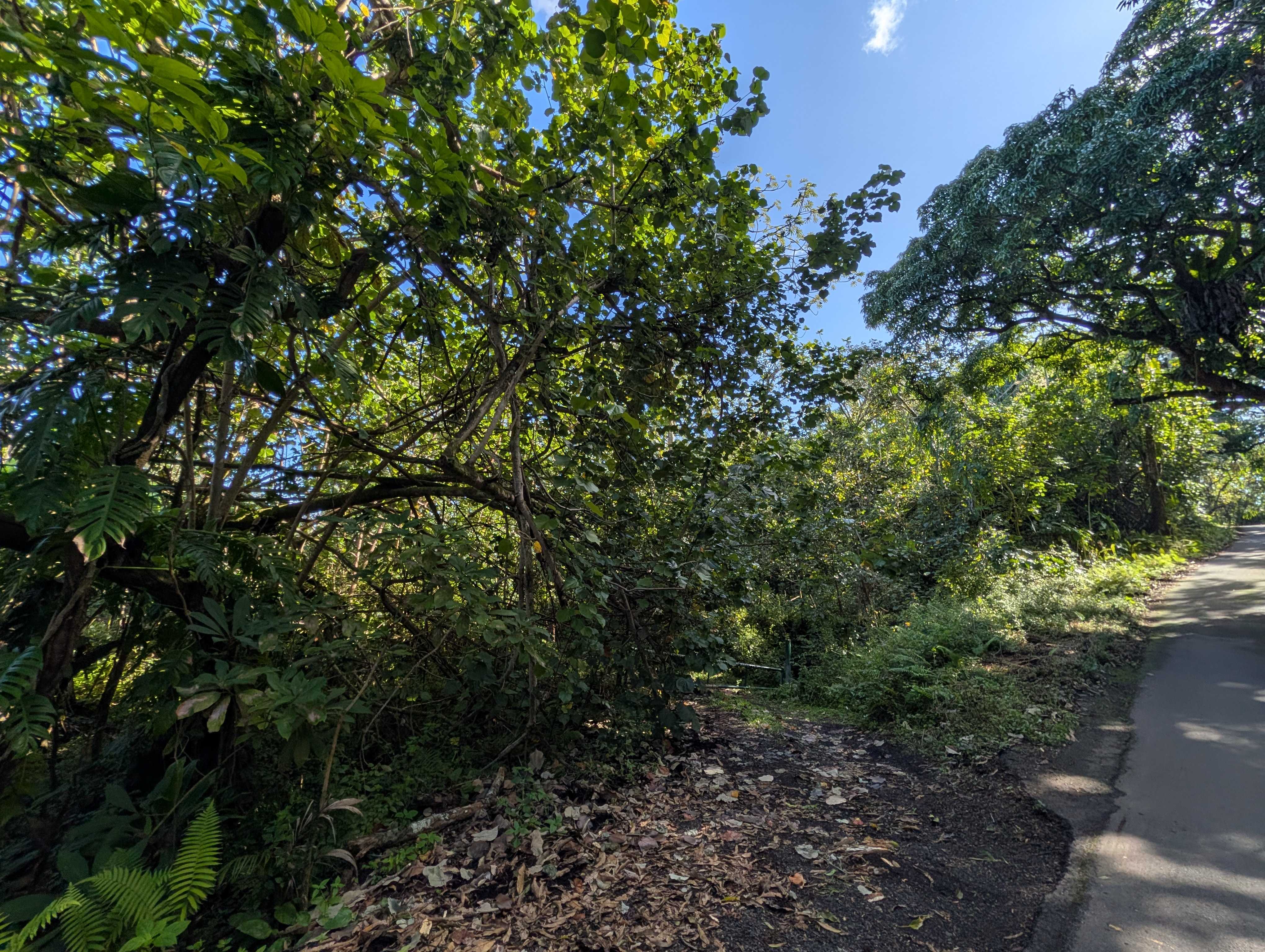 14-3963 GOVERNMENT BEACH RD, Pahoa, HI 96778