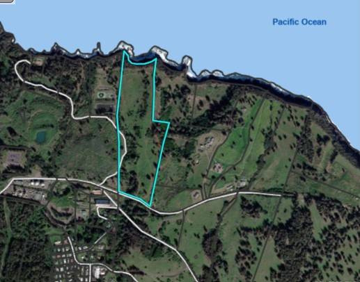 45-5060 NANAINA KAI ROAD, Honokaa, HI 96727