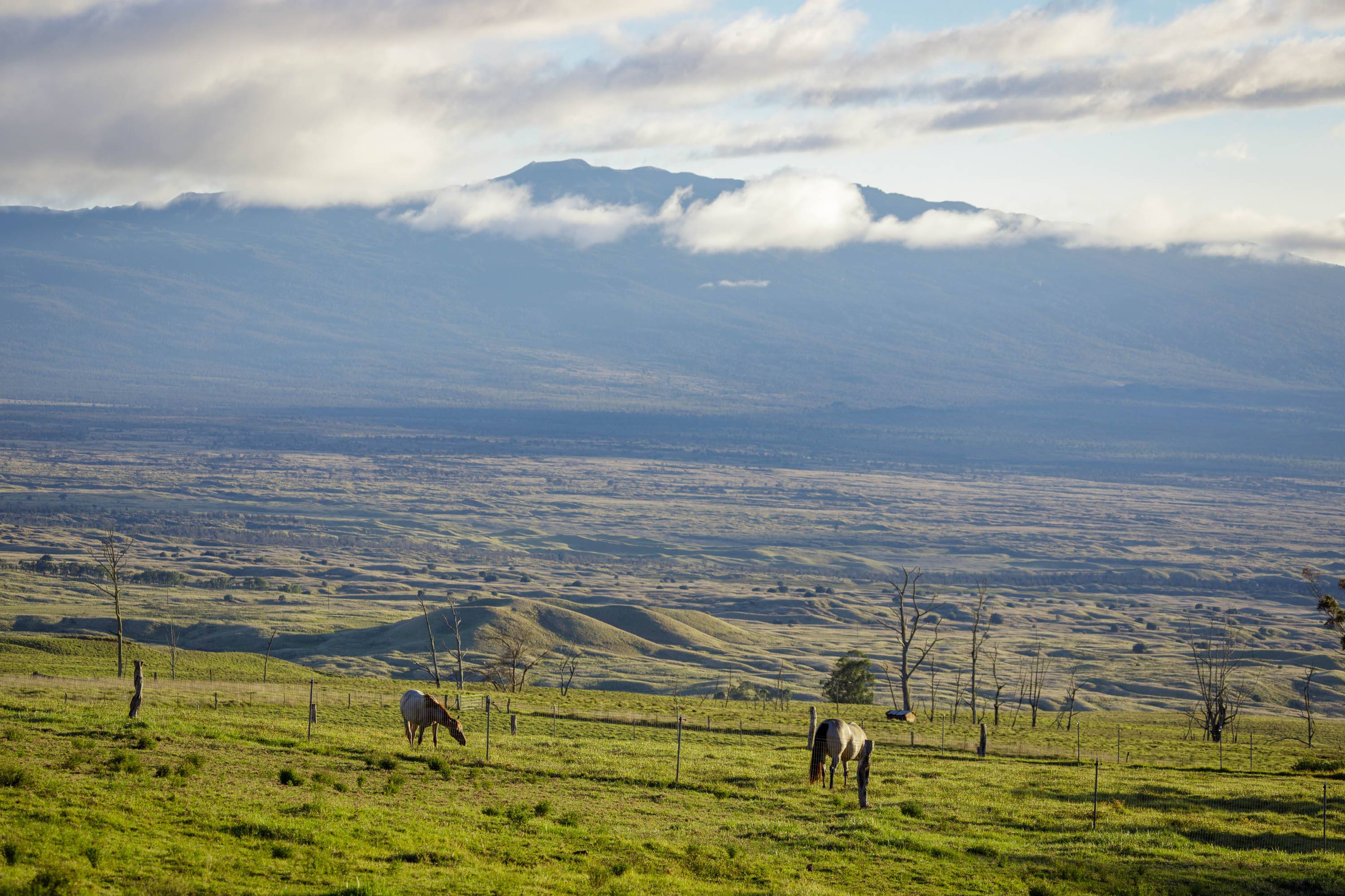 PALEKAIKO RD, Kamuela, HI 96743