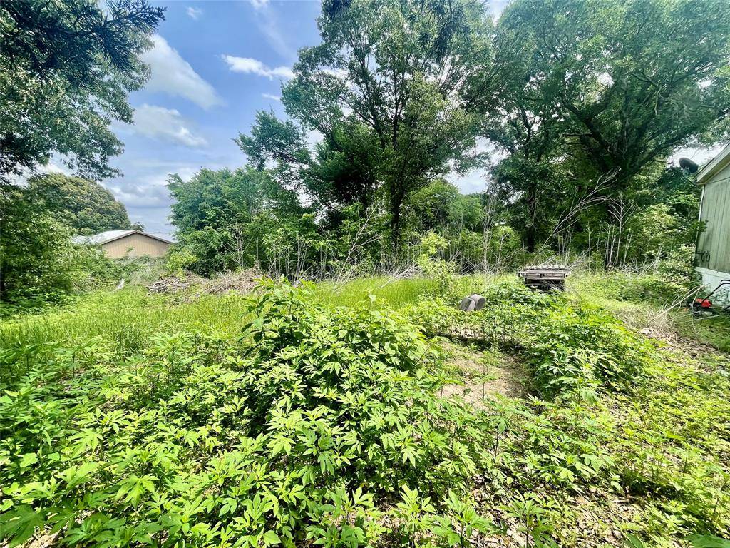 528 Vz County Road 1308, Canton, TX 75103