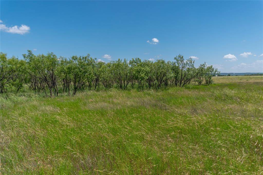T1 County Road 204, Bradshaw, TX 79567