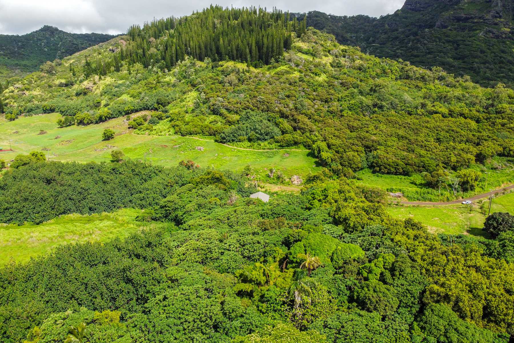 5310 NONOU RD, Kapaa, HI 96746