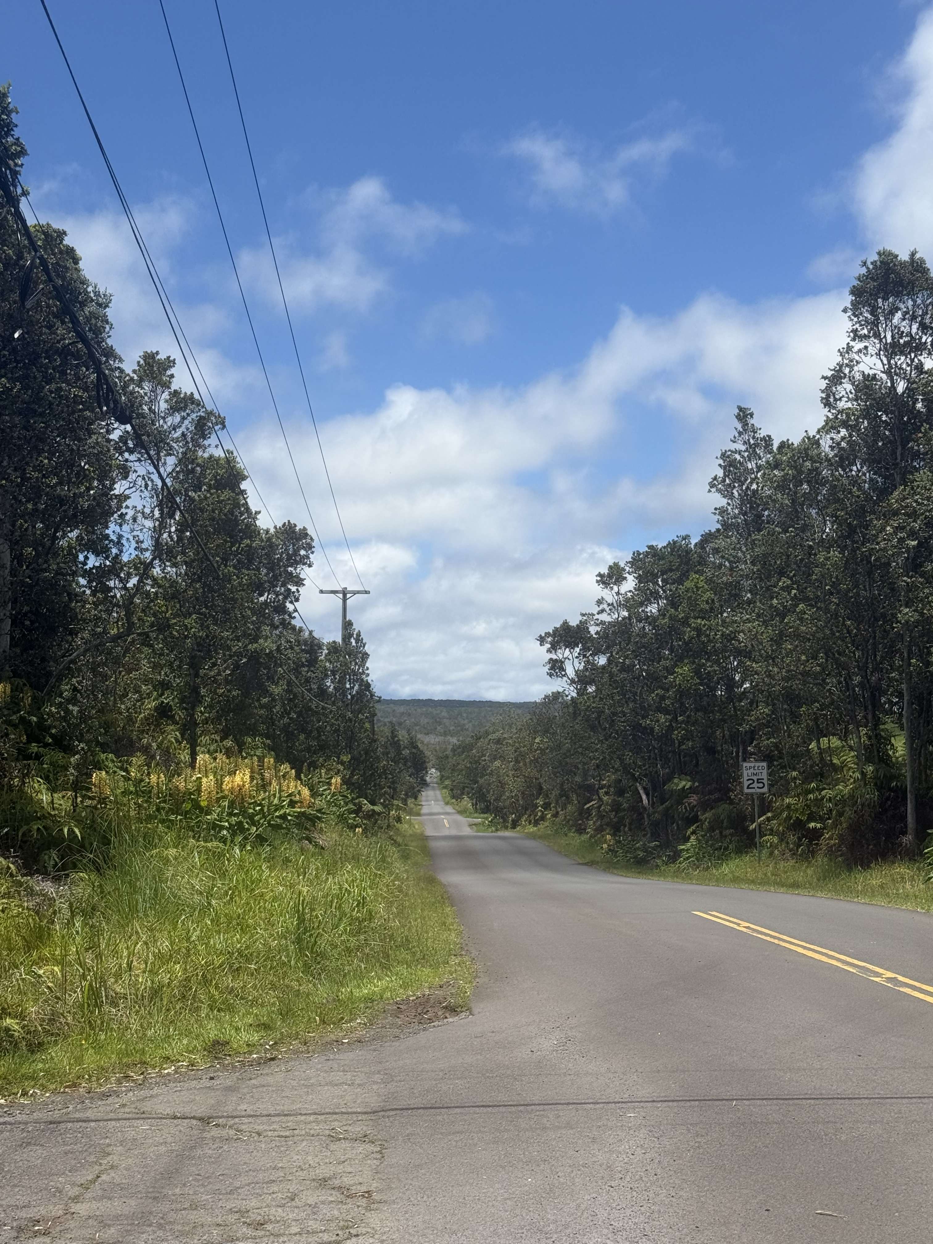 11-3308 ANUHEA ST, Volcano, HI 96785