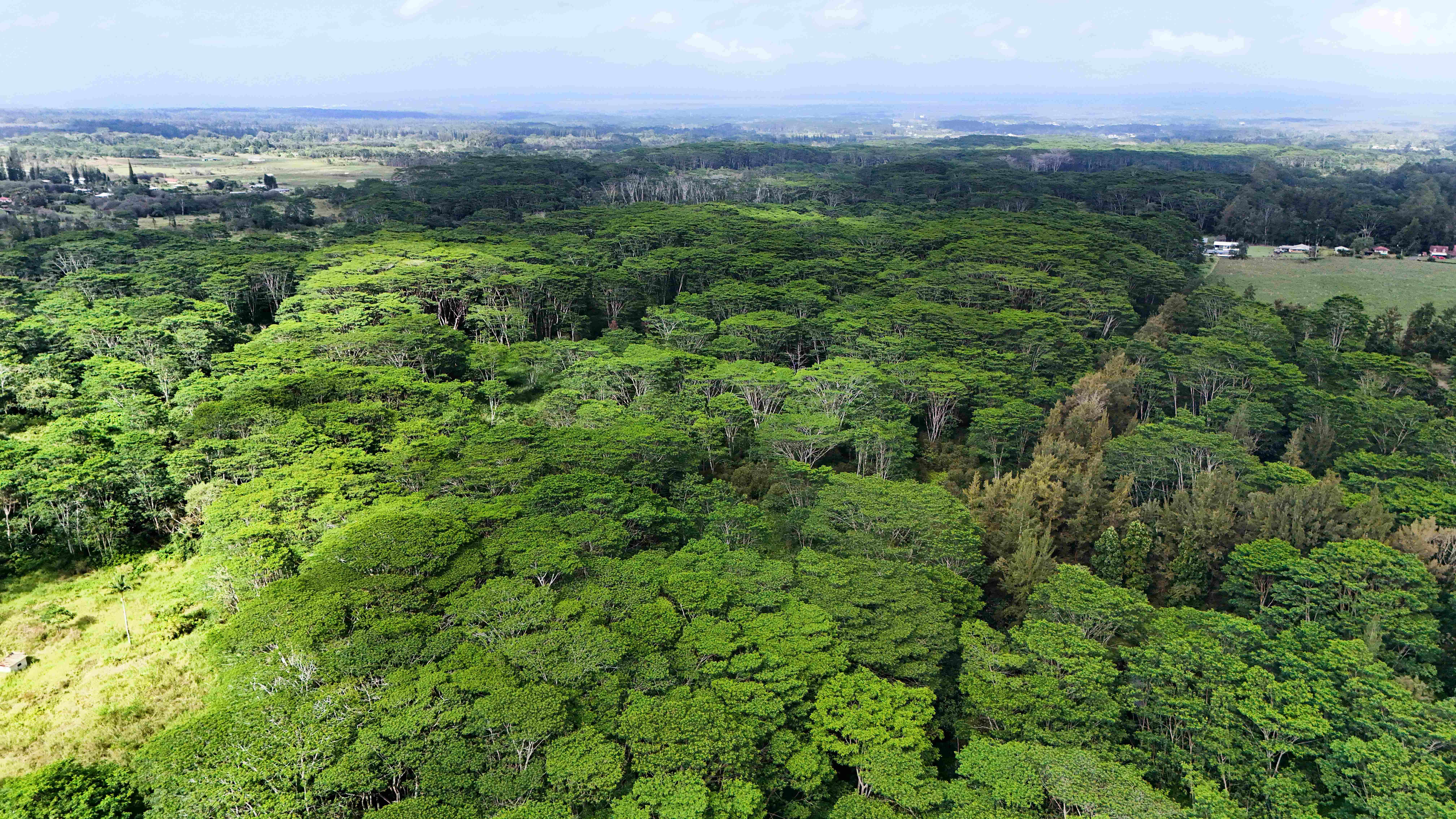 Mountain View, HI 96771