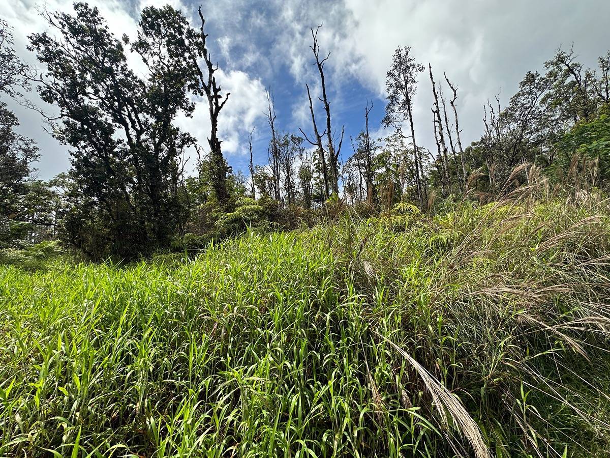 ROAD 3 (HOPUE), Mountain View, HI 96771