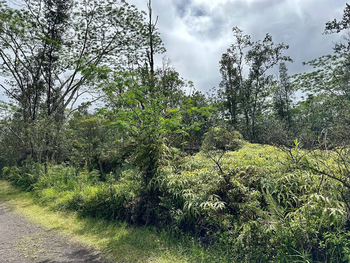 ROAD 3 (HOPUE), Mountain View, HI 96771