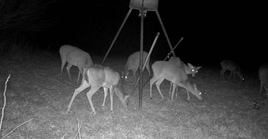 TBD N Highway 69, Greenville, TX 75401