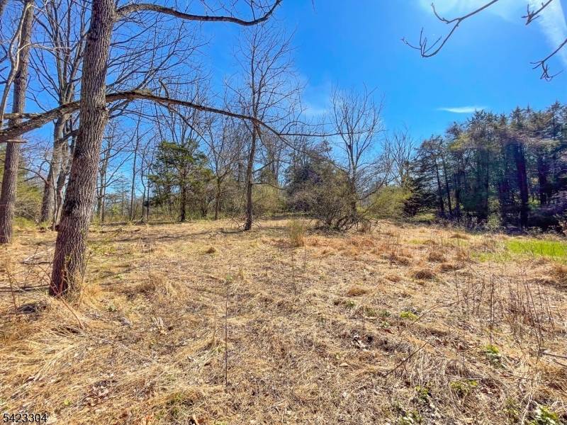 569 Ervey Rd, Allamuchy Twp., NJ 07821