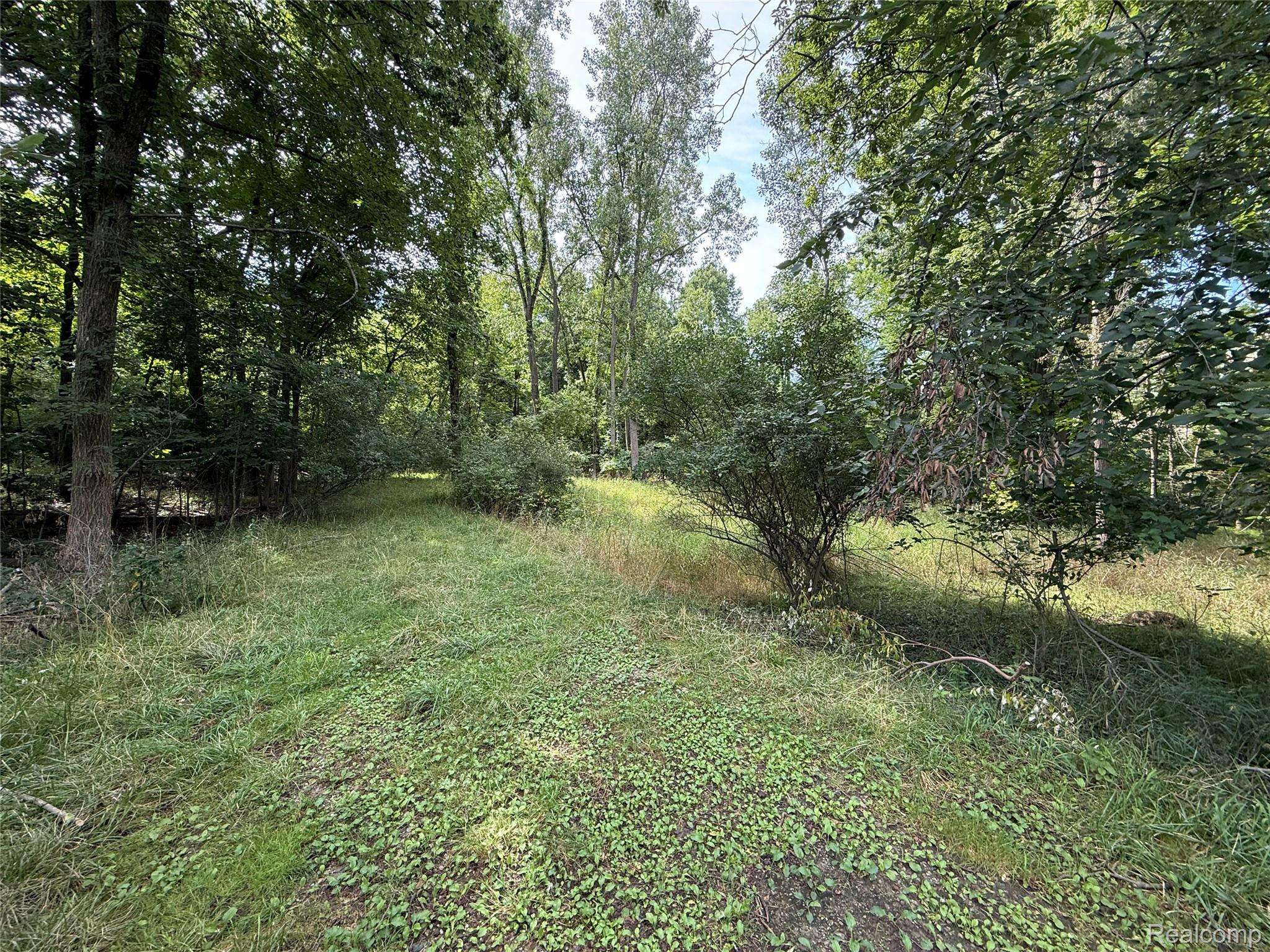 Lot 66 Preserve DR, Tyrone Township, MI 48430