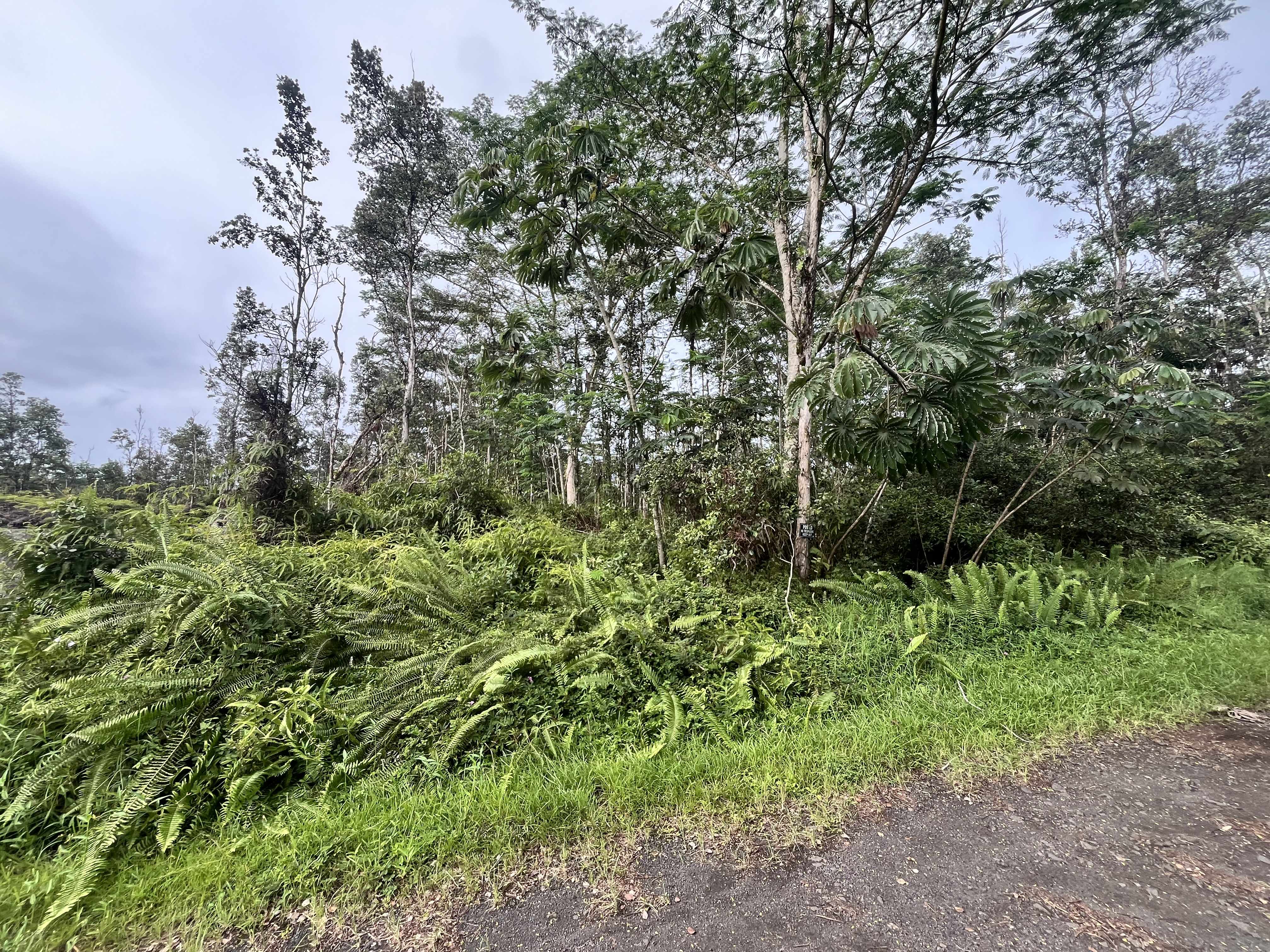 14-3437 PAKALANA RD, Pahoa, HI 96778