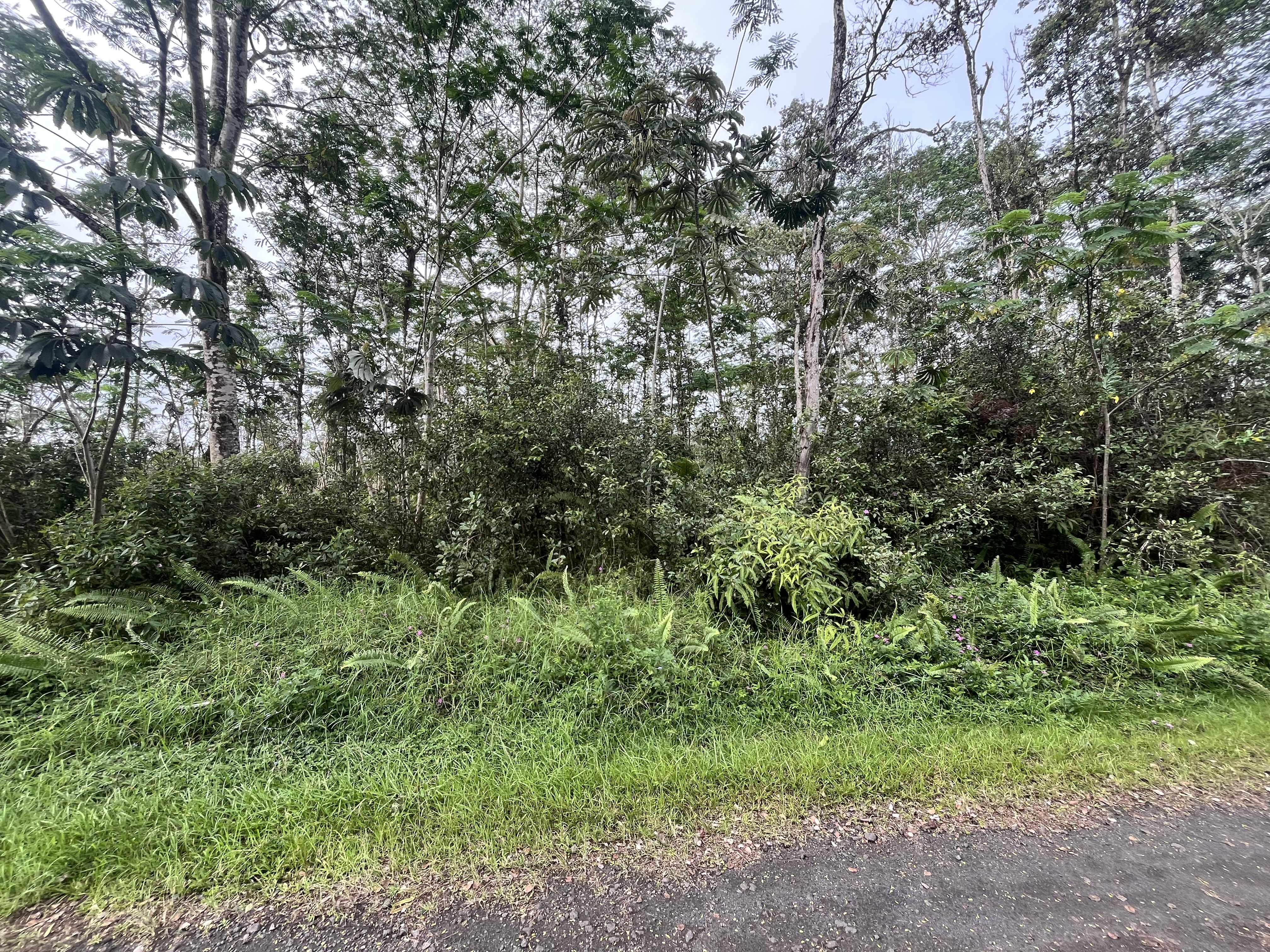14-3437 PAKALANA RD, Pahoa, HI 96778