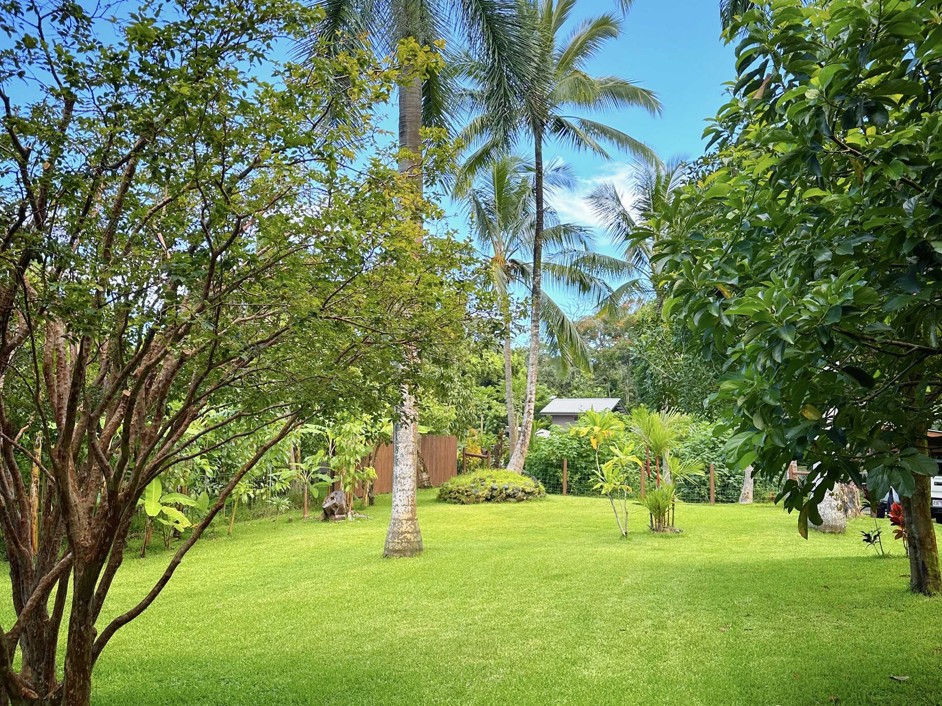 13-134 PUAKENIKENI PL, Pahoa, HI 96778