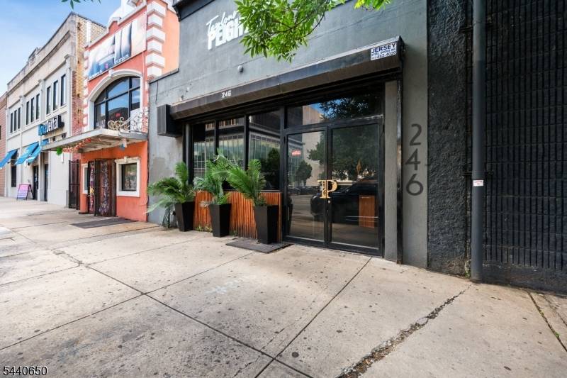 246 Mulberry St, Newark City, NJ 07102