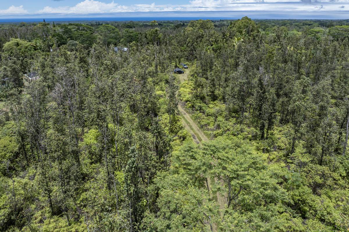 16-1660 39TH AVE, Keaau, HI 96749