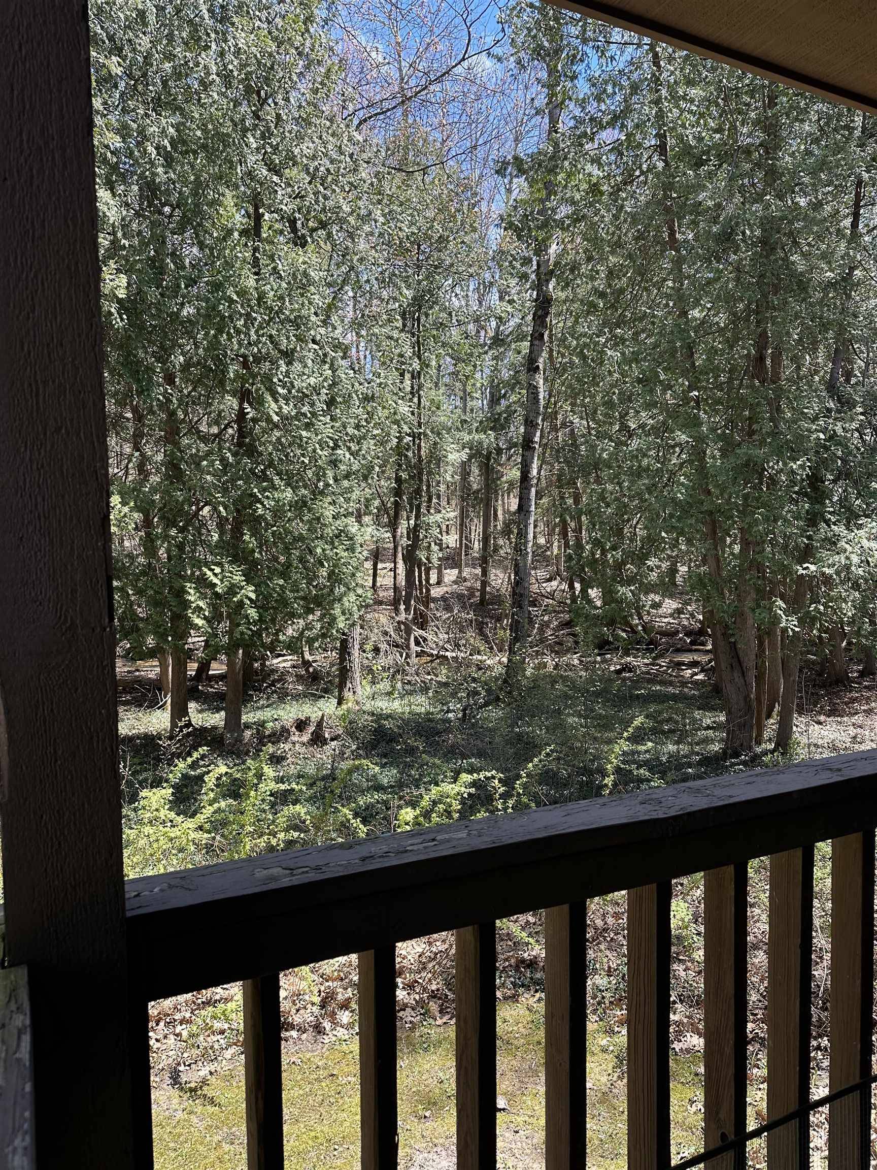 6865 Pinebrook, Custer Twp, MI 49615