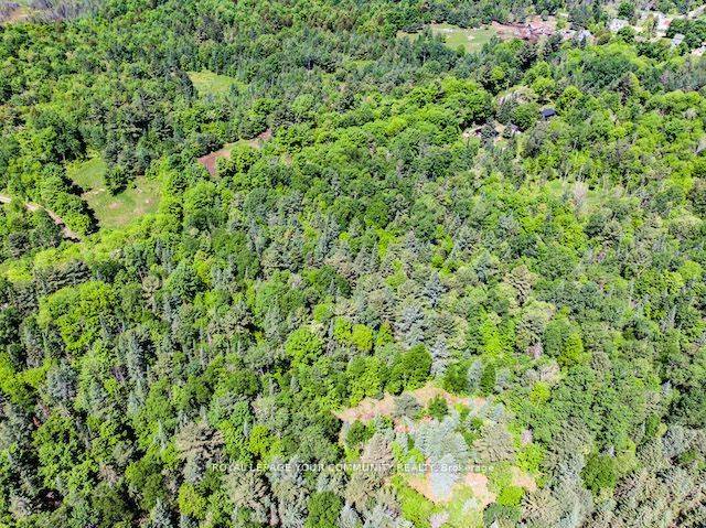 1219 Uffington RD, Bracebridge, ON P1L 1X1