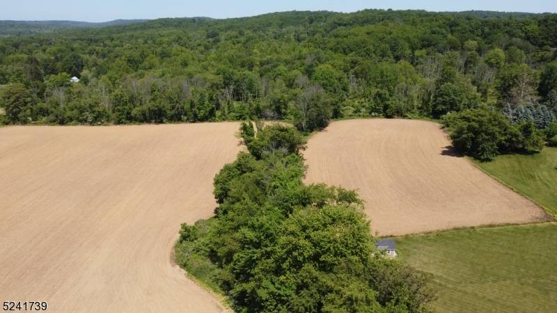 4 Sturbridge Ct, Lebanon Twp., NJ 08826