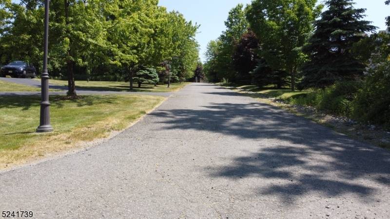 4 Sturbridge Ct, Lebanon Twp., NJ 08826