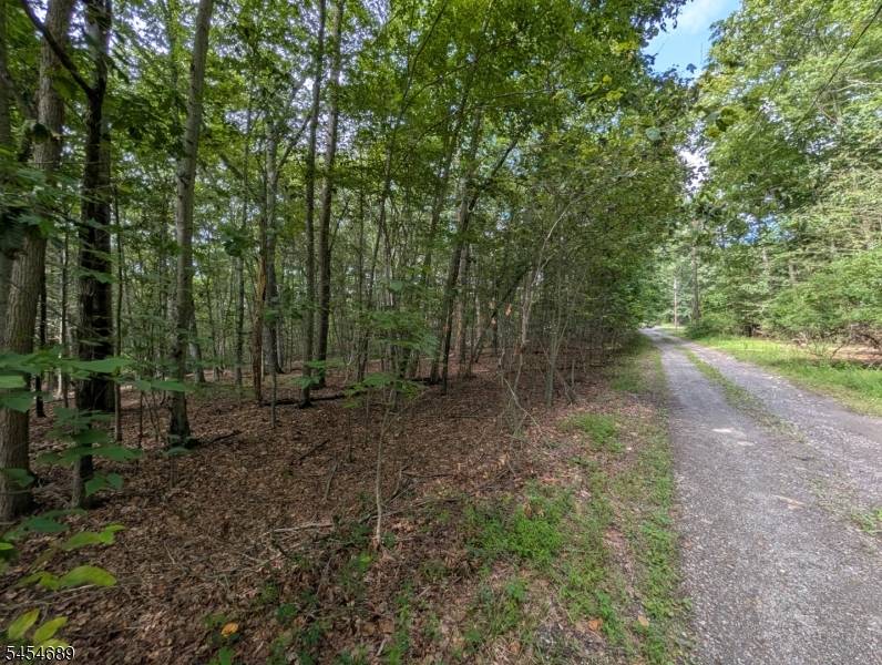 00 Anne Rd, Stillwater Twp., NJ 07860