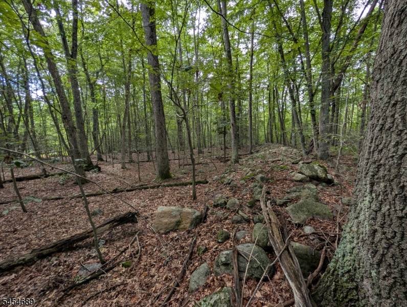 00 Anne Rd, Stillwater Twp., NJ 07860